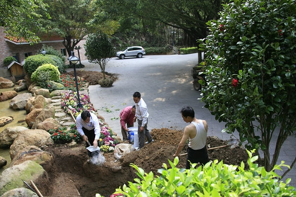 澳门原料网