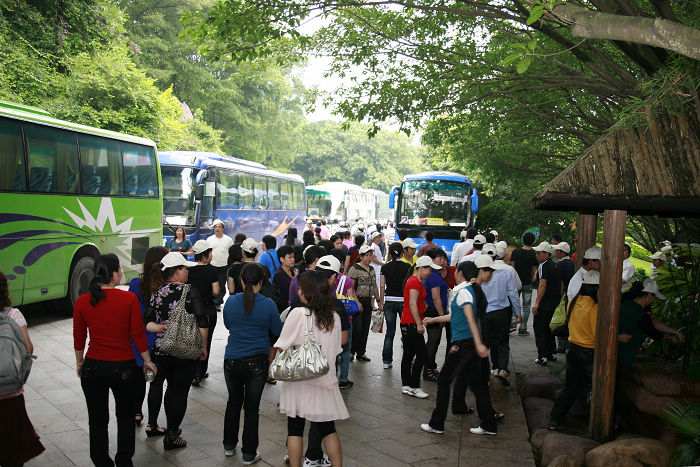 澳门原料网