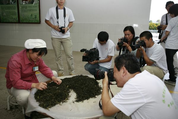 澳门原料网