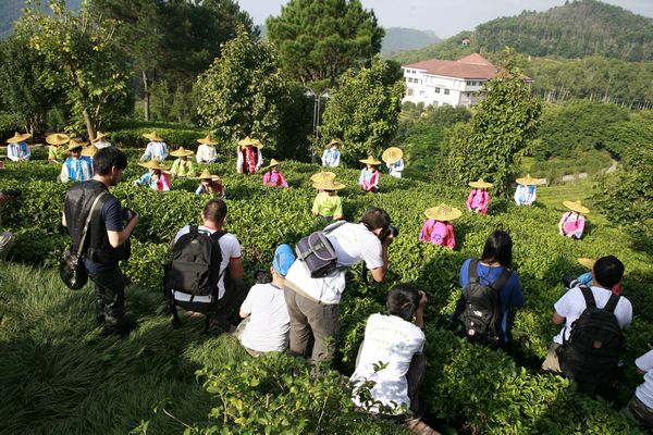 澳门原料网