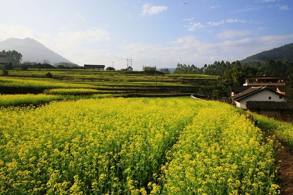 澳门原料网