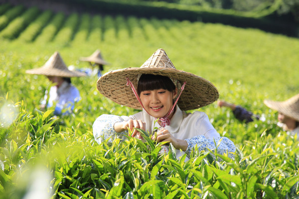 澳门原料网