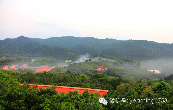 澳门原料网