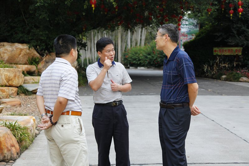 澳门原料网