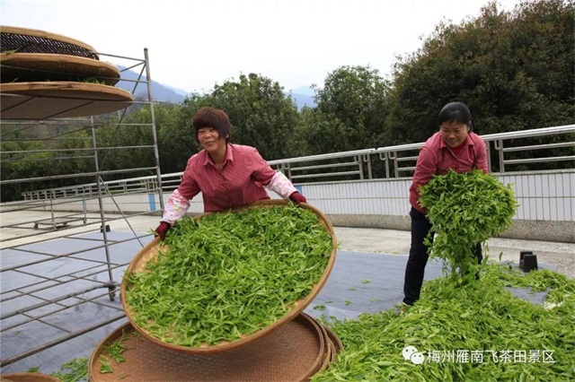 澳门原料网