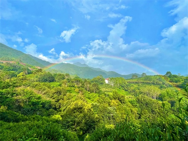 800万广东文旅券，下周开抢！领雁南飞出游补贴，开启诗画山河之旅！